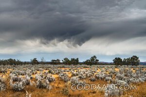 Storm Over the Wilderness