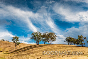 Heavens Over the Dry Hills