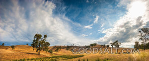 Heavens Over the Rolling Hills