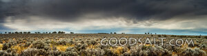 Storm Over the Wilderness Plain
