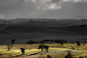 Light Across the Storm Fields