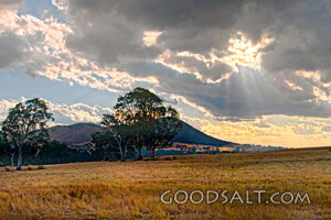 Sunbeams Over the Open Field