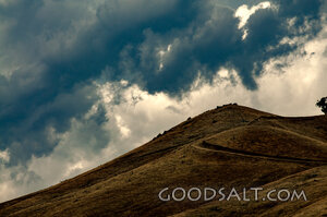 Path Beneath Storm Clouds