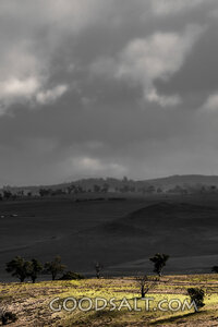 Light Upon the Shadowed Hills