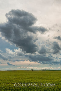 Clouds Over the Harvest Field