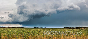 Storm Over the Harvest Field