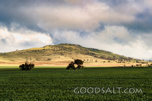 Fields Beneath Gathering Clouds