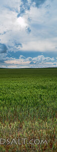 Field of Providence Under Open Heaven