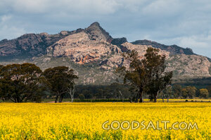 Field of Provision Before the Mountains