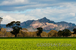 Field of Provision Beneath the Mountains