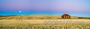 Moonrise Over the Harvest Field