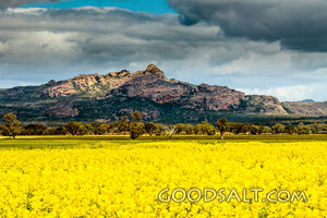 Harvest Field Beneath Storm Clouds