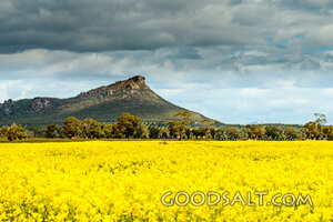 Harvest Field Under Gathering Storm