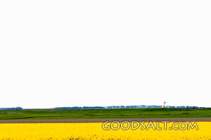 Harvest Fields Under Open Sky