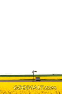 Harvest Field and Windmill Under Open Sky