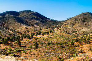 Hills of the Wilderness