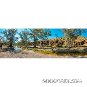 Stream in the Wilderness