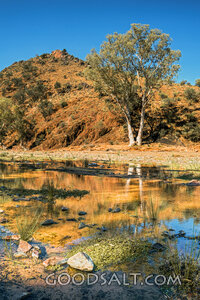Still Waters in the Wilderness