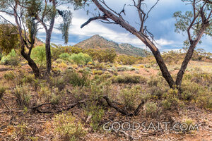 Wilderness Hills Beneath Gathering Clouds