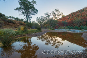 Still Waters in the Wilderness