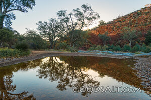 Still Waters in the Desert Gorge