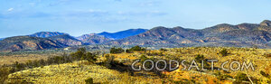Wilderness Hills of Promise
