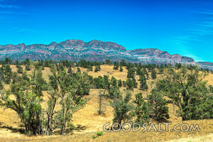 Hills of the Wilderness
