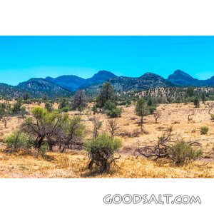 Mountain Wilderness of Prayer