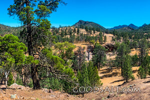Mountain Wilderness Retreat