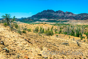 Arid Wilderness Before the Mountains
