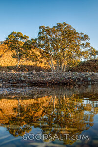 Still Waters in the Wilderness