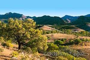 Hills of Creation