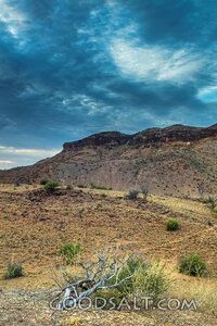 Wilderness Under Gathering Clouds