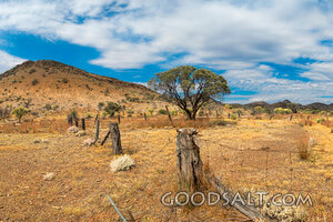 Wilderness Hills and Weathered Fence