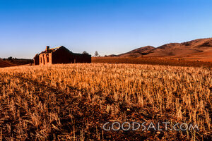 Harvest Field Beside the Ruins
