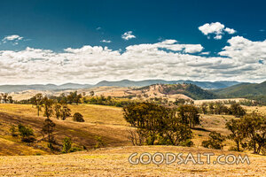 Hills of the Lord's Pasture