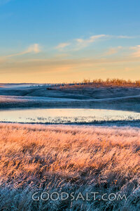 Frosted Still Waters at Sunrise