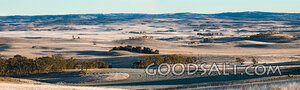 Frosted Fields of Creation