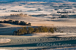 Frosted Fields of Creation