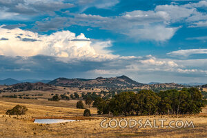 Pasture Under a Spacious Sky