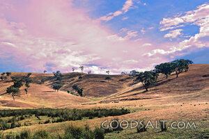 Pastures Beneath a Heavenly Sky