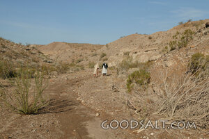 Sojourners in the Wilderness