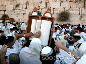 Men Touching Torah Scroll at Western Wall