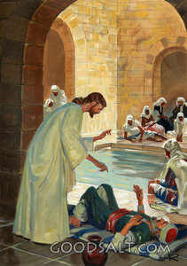 Miracle at the Pool