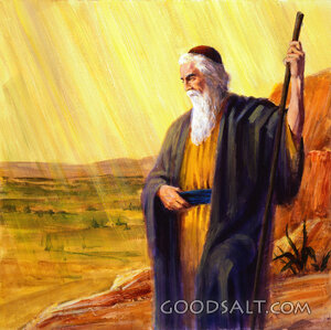 Moses - the Promised Land