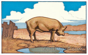 Swine by the Muddy Puddle