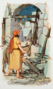Nehemiah's Inspection