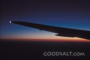 Wing Over the Evening Horizon