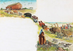 Noah - the Call of the Animals