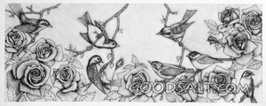 Of Birds and Roses